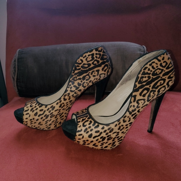 Leopard, Hidden Platform Beauties - Picture 4 of 6